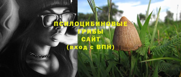 эйфоретик Заводоуковск